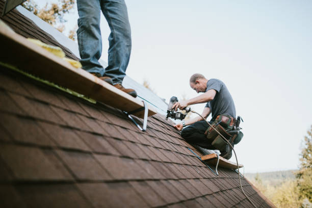 Roof Gutter Cleaning in Endwell, NY